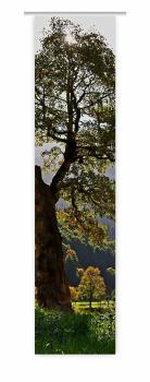 Flächenvorhang Herbstsonnenmomente  , Schiebevorhang, Schiebegardine, modern, 60 cm breit, 2,65 m h